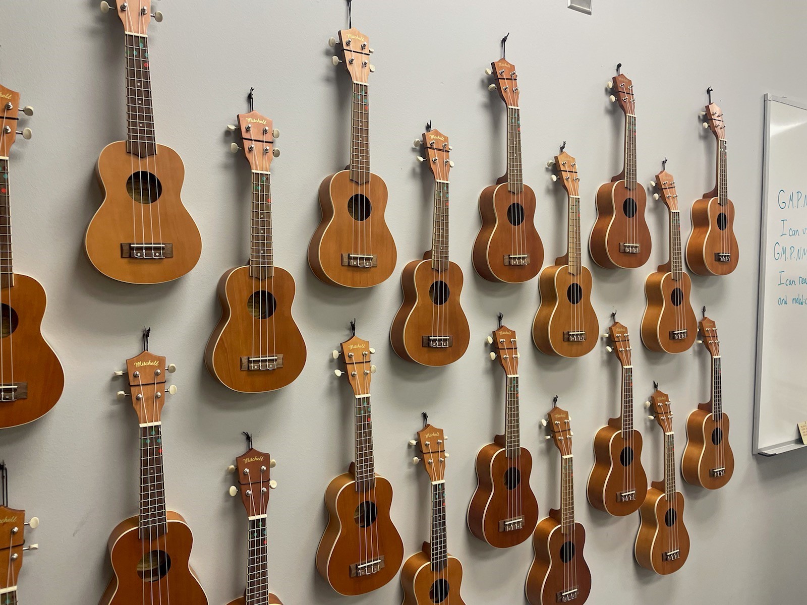 Ukelele Arts High Point Academy