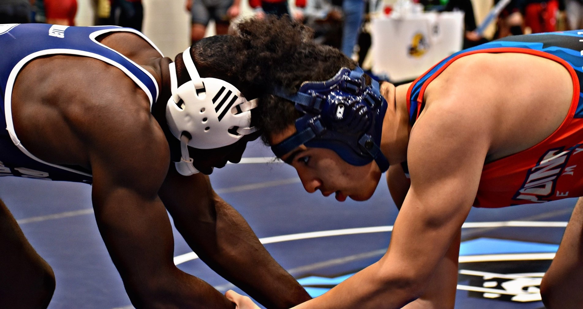 Wrestling Pic 2022